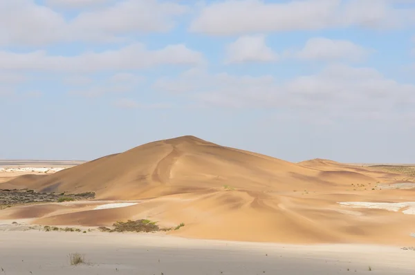 Дюни в namib — стокове фото