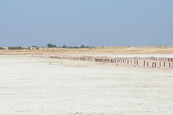 Weg naar uitkijkpunt op de etosha pan — Stockfoto