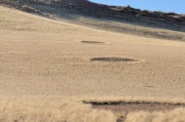 Peri halkalar yanında sesriem