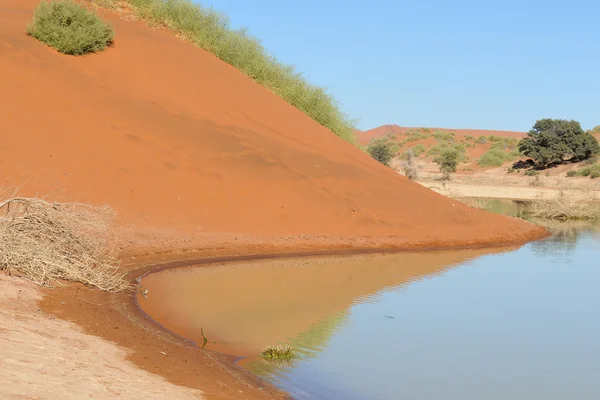 A flooded Sossusvlei in the Namib Desert