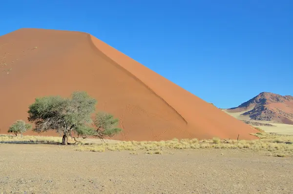 Gras, Duin en bergachtige landschap in de buurt van sossusvlei — Stockfoto