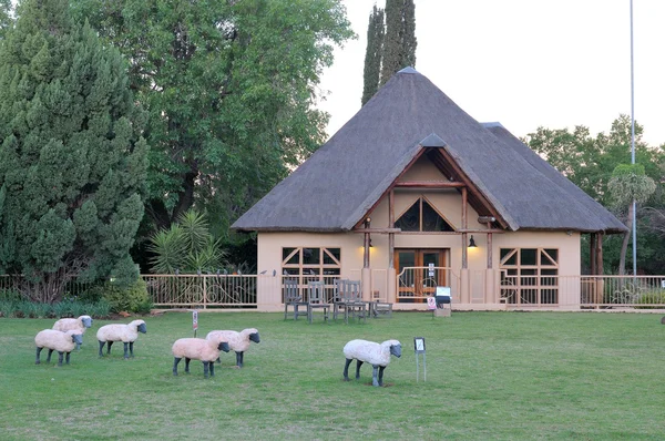 Behållare, Oliewenhuis Museum i Bloemfontein, South Africa — Stockfoto