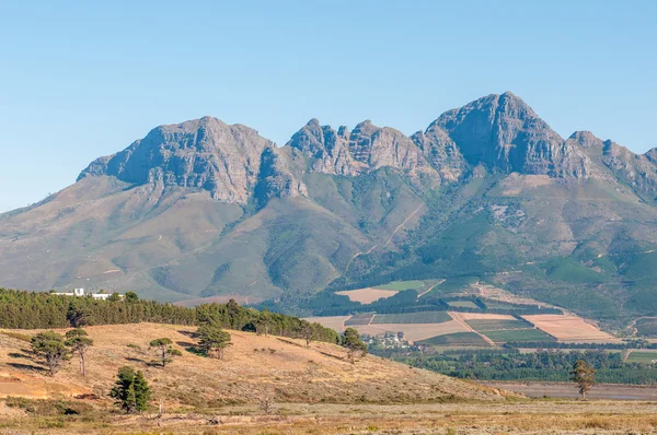 El Helderberg (montaña clara) cerca de Somerset West, Sudáfrica — Foto de Stock