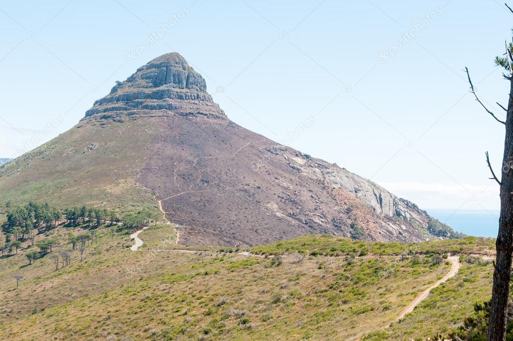 Lions Head in Cape Town