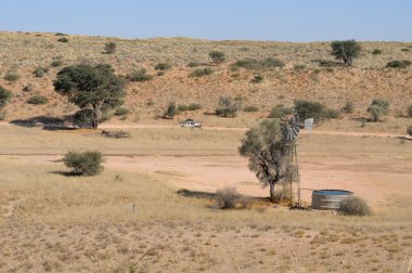 Auchterlonie su birikintisinin, Kgalagadi Sınırötesi Park
