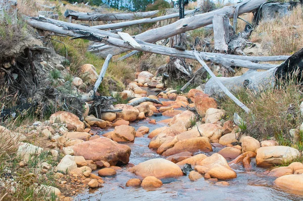Water stream near Sir Lowrys Pass — Stock Photo, Image