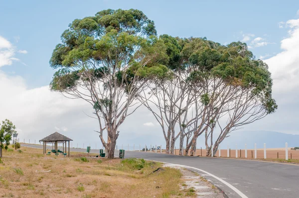 Resting place next to the N2 main road — Stock Photo, Image