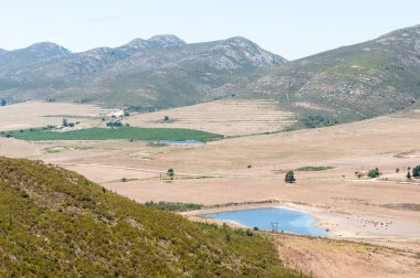 potjiesberg pass uniondale yakınındaki üzerinden görüntülemek