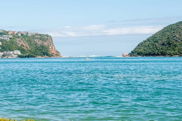 As cabeças na lagoa de Knysna . — Fotografia de Stock