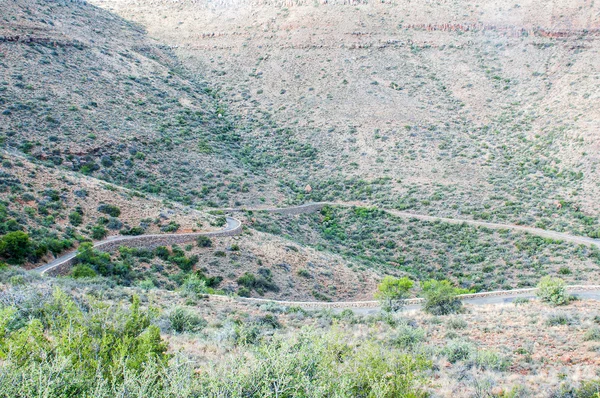 Klipspringer pass in the Karoo National Par — Stock Photo, Image