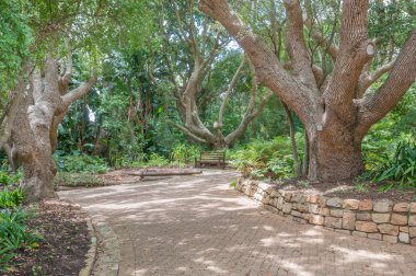 Geçit ve tezgah içinde KIRSTENBOSCH Ulusal Botanik Bahçesi