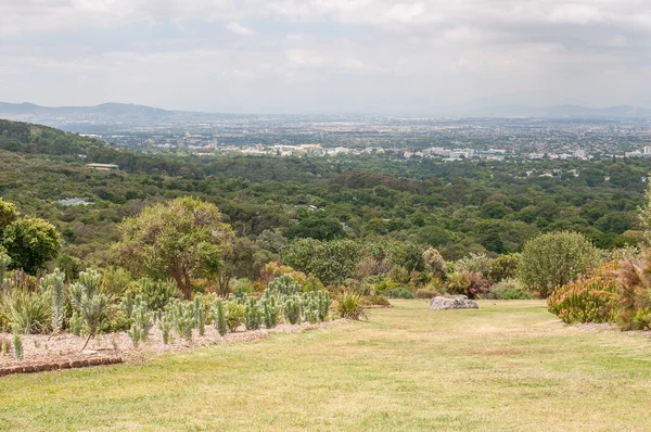 Vista desde Kirstenbosch hacia Newlands y Claremont Imágenes de stock libres de derechos