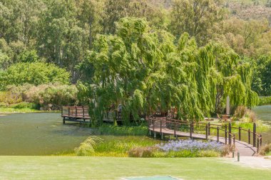 Şarap tadımı bir adada