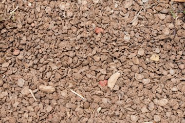 Şeftali tırtıl yürüyüş yolları astar