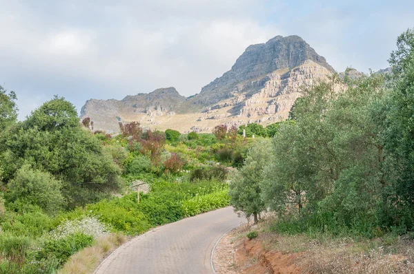 View of a garden near Stellenbosch — Stock Photo, Image