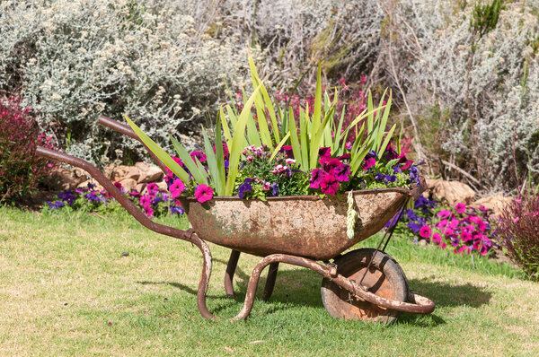 New use for an old wheelbarrow
