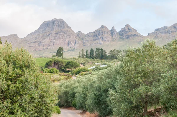 View of the farm Hidden Valley — Stock Photo, Image