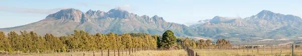 Helderberg a části pohoří Hottentos-Holandsko — Stock fotografie