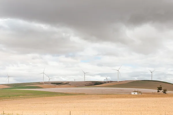 Wind turbines near Caledon