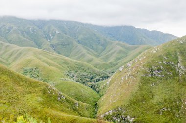 Outeniqua Dağları