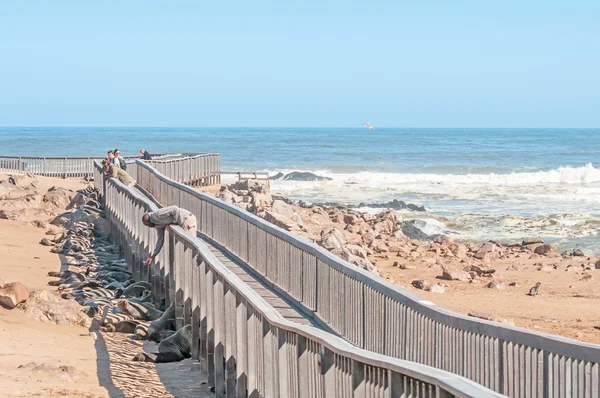 Boardwalk at Cape Cross. — Stock Photo, Image