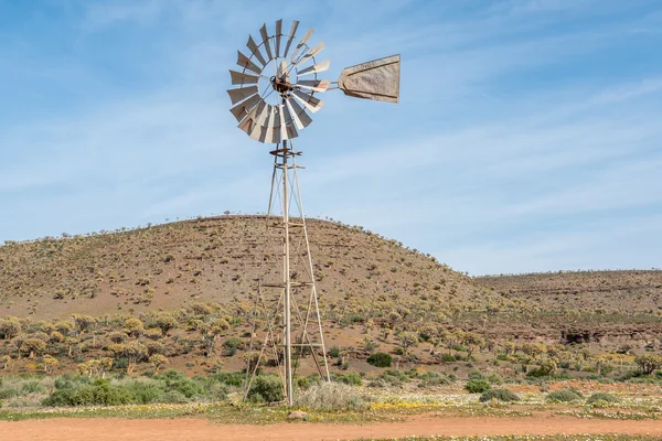 Windmill between wild flowers with thousands of quiver trees in — Stock Photo, Image