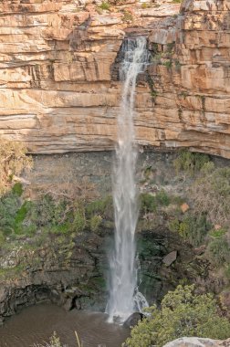 nieuwoudtville şelale