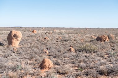 Düşürebilir, Karoo yatay