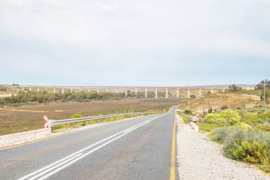 Vineyards near Vredendal