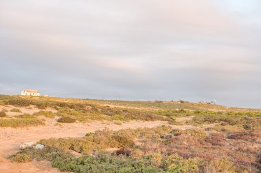 Yobaz, evler ve Papendorp adlı bir yel değirmeni