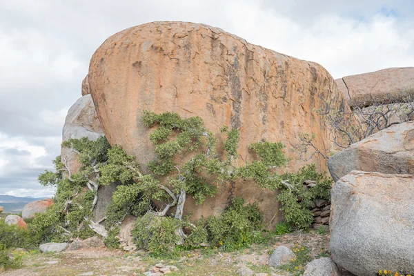 Буквенный камень в Гари — стоковое фото