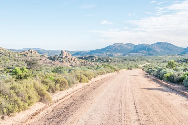 Road from Kamieskroon to Skilpad — Stock Photo, Image