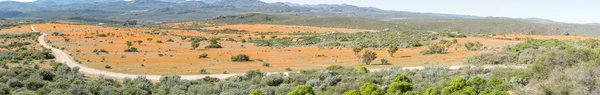 Panorama de Skilpad — Foto de Stock