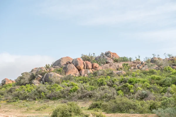 Landschap tussen Kharkams en Spoegrivier — Stockfoto