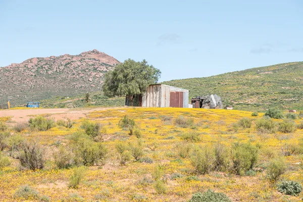 Granja Nama cerca de Spoegrivier — Foto de Stock