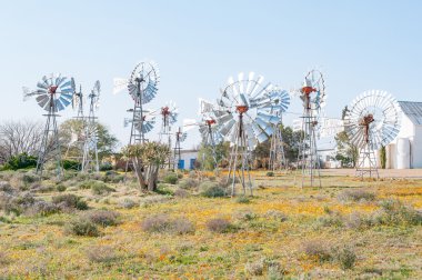 Loeriefontein müzede yel değirmeni