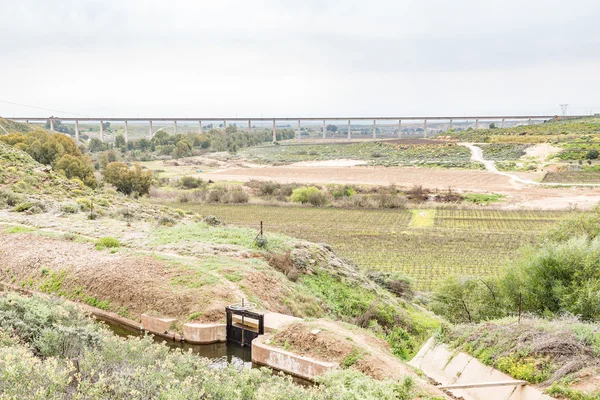 Irrigation canal, vineyards and the Sishen to Saldanha railroad — Stok fotoğraf