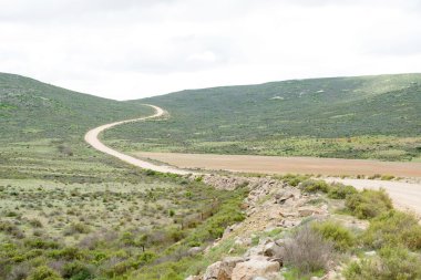 Lutzville ve Nuwerus arasındaki yol