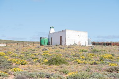 Çiftlik Spoegrivier yakın