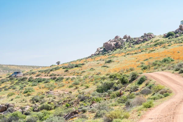 Techo de Namaqualand trail — Foto de Stock