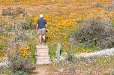 Adam Skilpad de Korhaan izinde