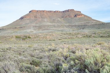 Calvinia yakınındaki Hantam dağlar