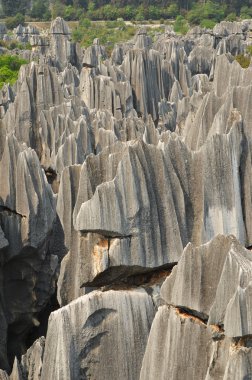 Taş Ormanı Ulusal Parkı