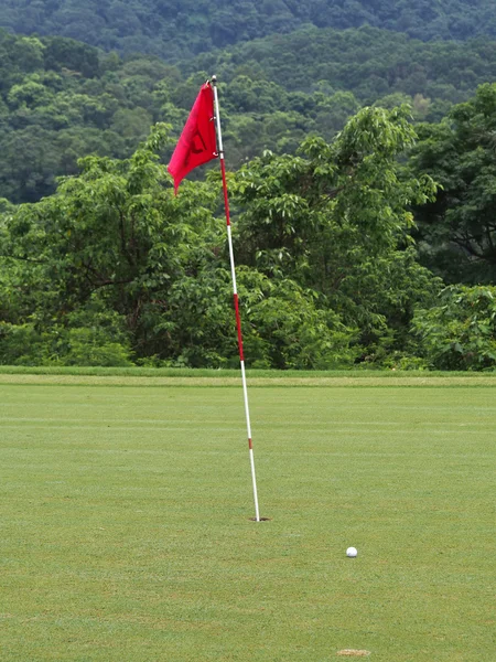 Golfen — Stockfoto