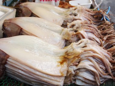 Fresh squid