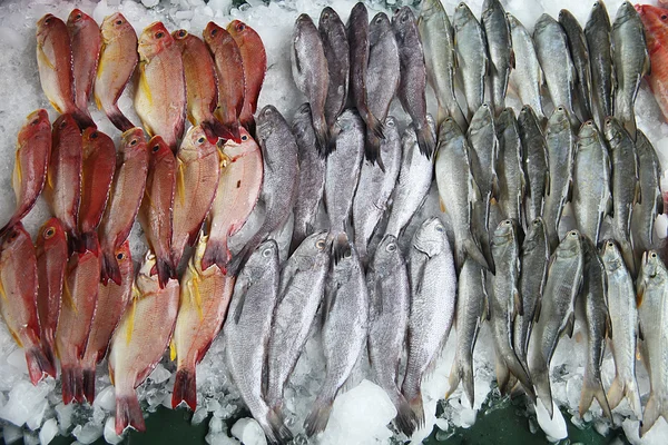 Mercado de pescado — Foto de Stock