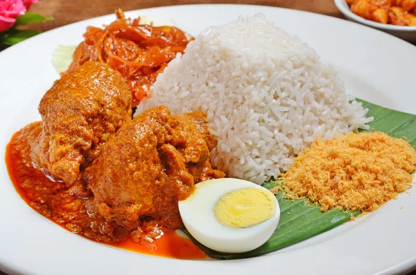 Malaysian rice dish — Stock Photo, Image