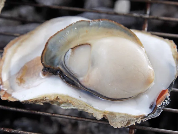 Gegrilde oesters — Stockfoto