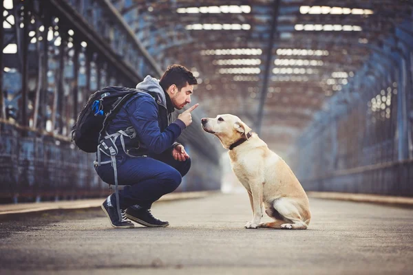 Ember a kutyájával. — Stock Fotó