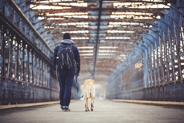 Köpekli bir adam. — Stok fotoğraf